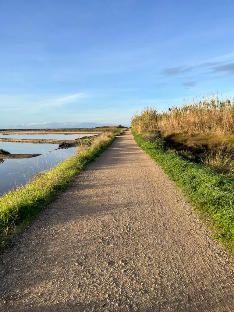 A gravel path running between flooded salt pans and a bank of tall dry reeds, still water reflecting a clear blue sky