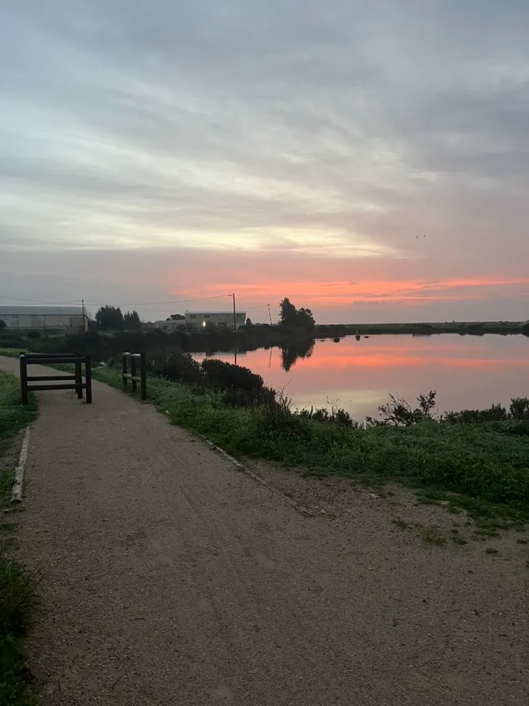 A gravel path beside still lagoon water at first light, a band of pink cloud reflected on the surface and a low building on the far bank