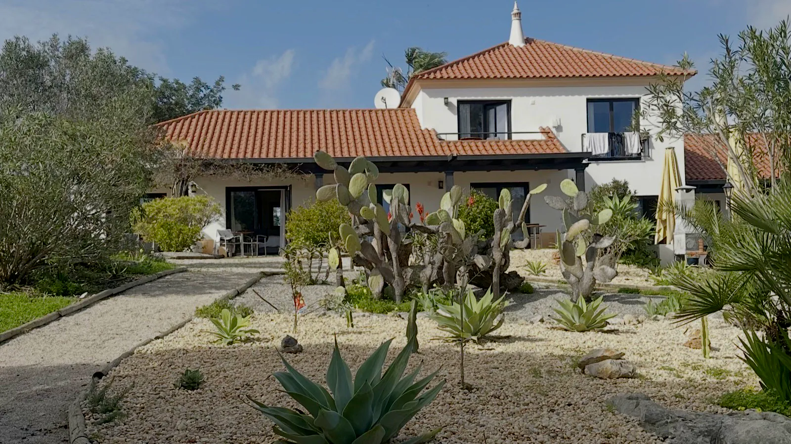 A white two-storey house with a terracotta roof behind a gravel garden of prickly pear, agave and olive trees under a bright blue sky