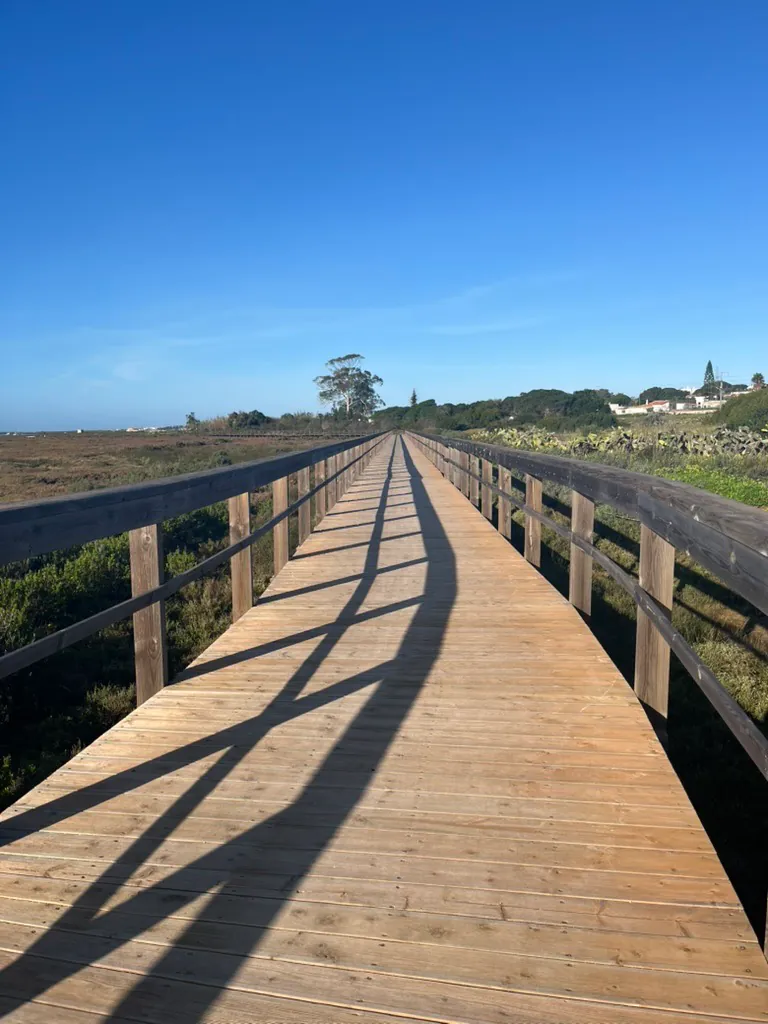 A timber boardwalk running dead straight across salt marsh towards a line of trees and low houses, under a cloudless sky